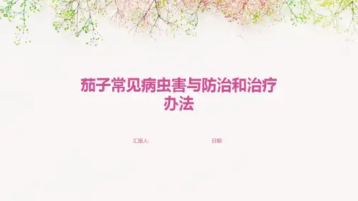 茄子常见病虫害与防治和治疗办法