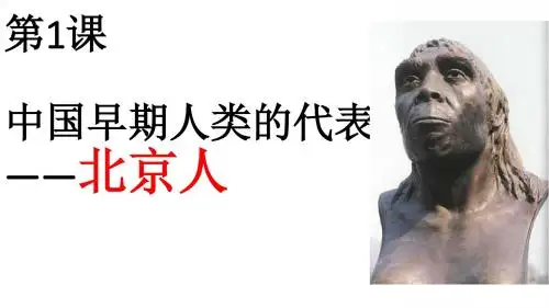 2018年秋季部编人教版七年级上册历史  第1课    中国早期人类在代表——北京人