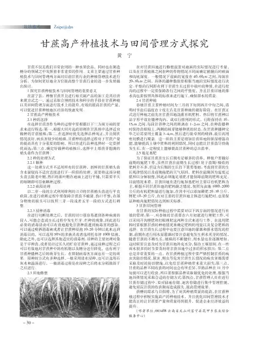甘蔗高产种植技术与田间管理方式探究