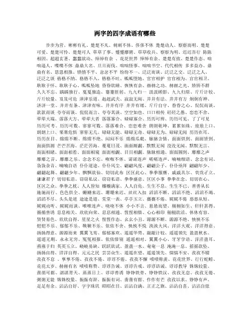 两字的四字成语有哪些