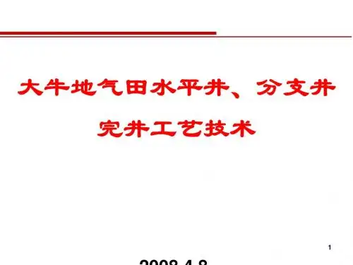 水平井分支井完井工艺技术课件(PPT 33页)