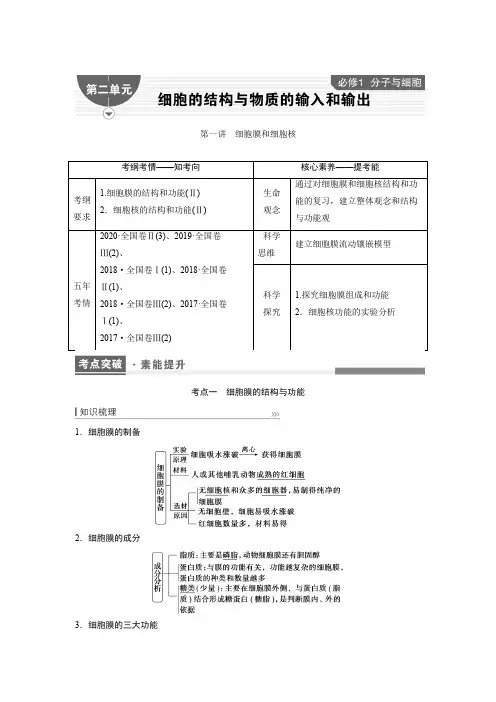 2023届一轮复习人教版细胞膜和细胞核学案