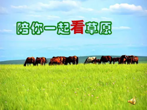 草原散章(用)PPT课件
