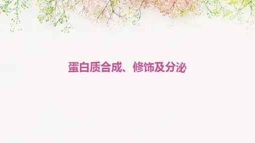 蛋白质合成、修饰及分泌