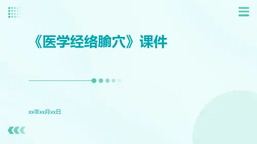 《医学经络腧穴》课件
