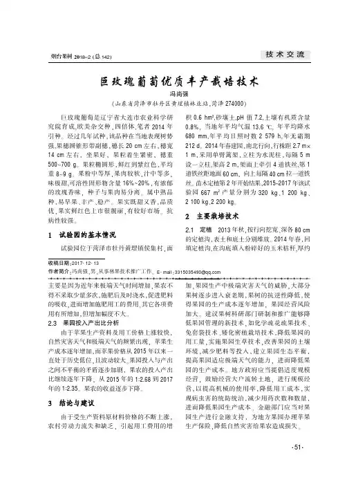 巨玫瑰葡萄优质丰产栽培技术