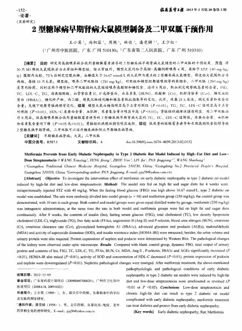 2型糖尿病早期肾病大鼠模型制备及二甲双胍干预作用