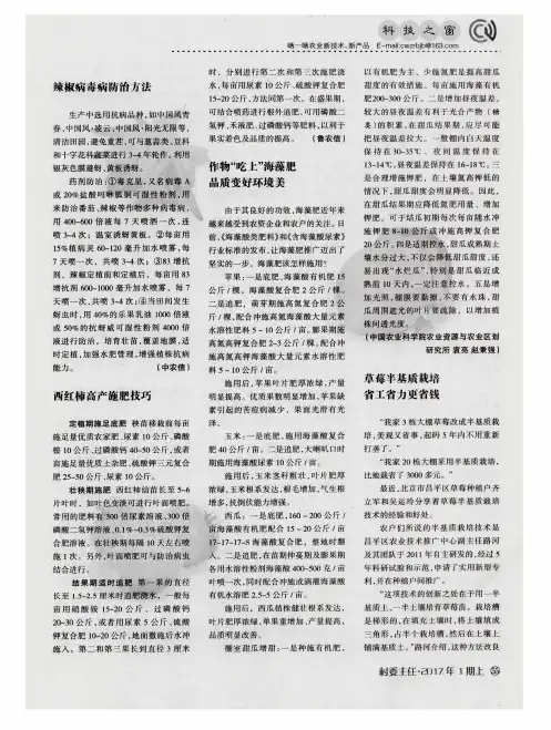 西红柿高产施肥技巧