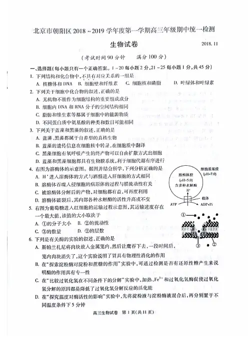 北京市朝阳区2019届高三上学期期中考试生物试卷(pdf版,有答案)[精品]