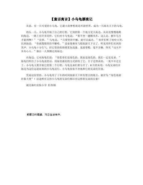 【童话寓言】小乌龟漂流记