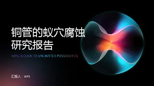 铜管的蚁穴腐蚀研究报告