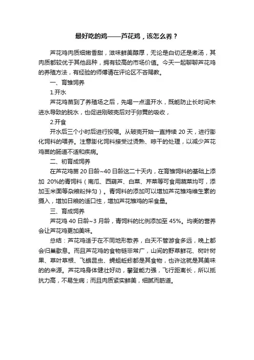 最好吃的鸡——芦花鸡，该怎么养？
