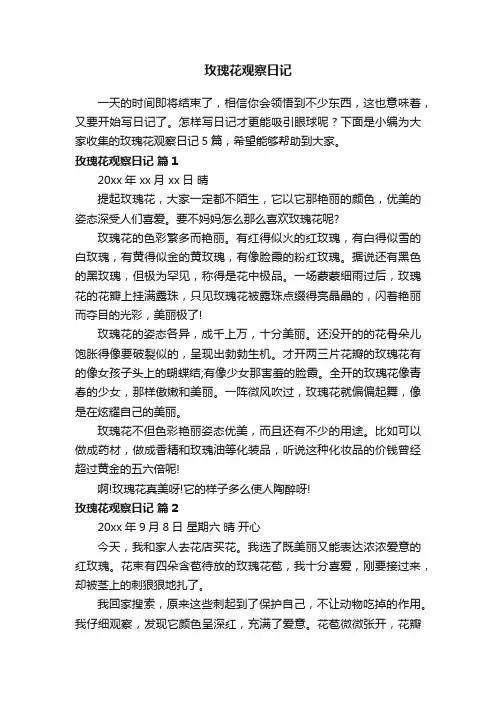 玫瑰花观察日记合集5篇
