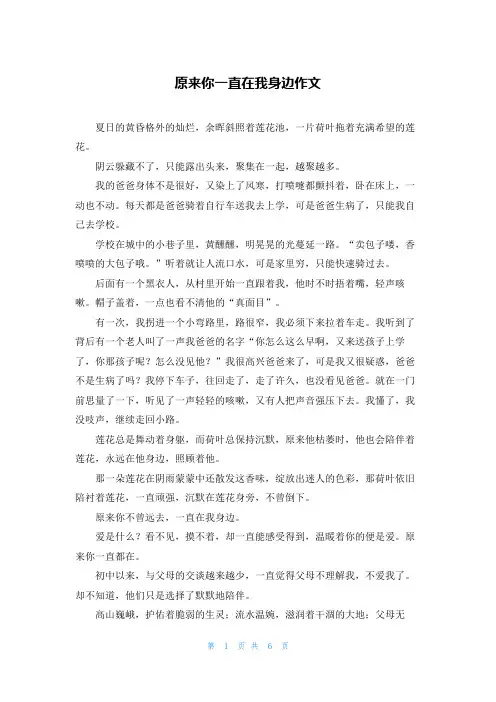 原来你一直在我身边作文