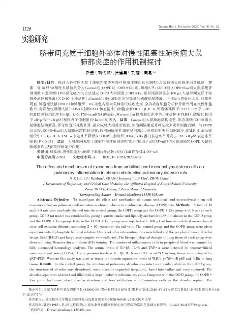 脐带间充质干细胞外泌体对慢性阻塞性肺疾病大鼠肺部炎症的作用机制探讨