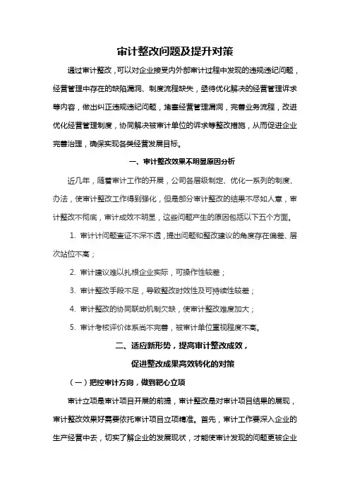 审计整改问题及提升对策