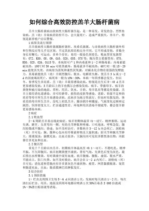 最新 如何综合高效防控羔羊大肠杆菌病-精品