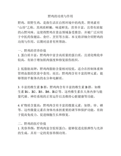 野鸡的功效与作用