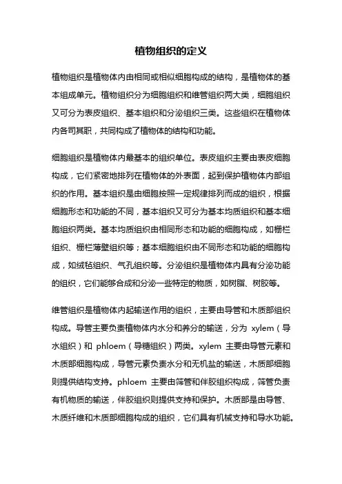 植物组织的定义