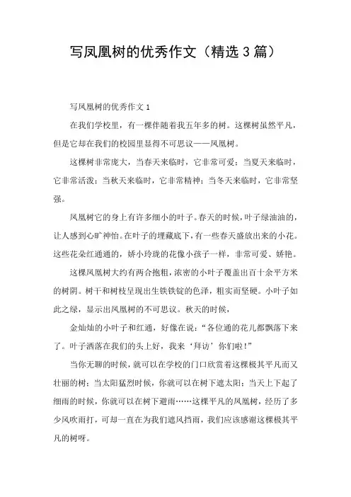 写凤凰树的优秀作文(精选3篇)