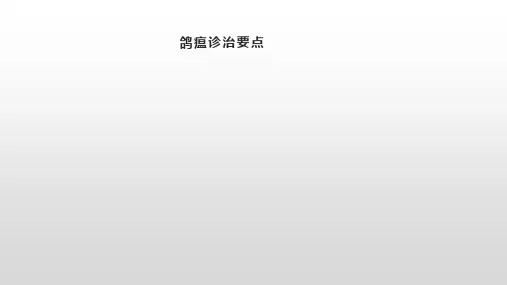 鸽瘟诊治要点