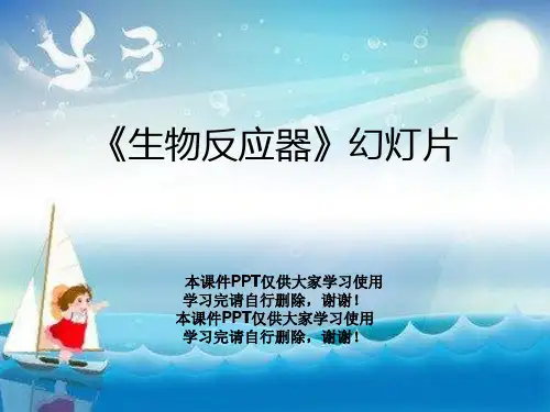 《生物反应器》幻灯片