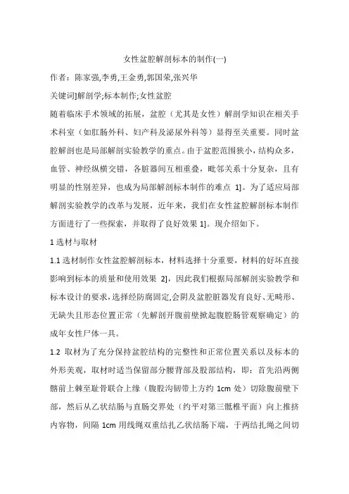 女性盆腔解剖标本的制作(一)