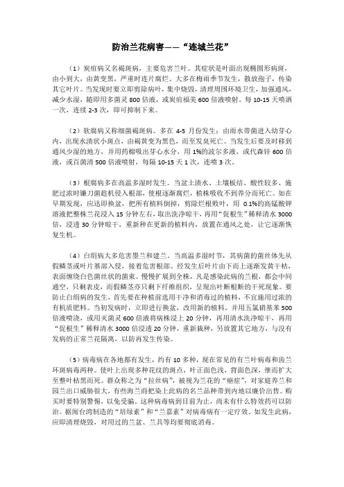 兰花防治病害常用方法——“连城兰花、价值连城”