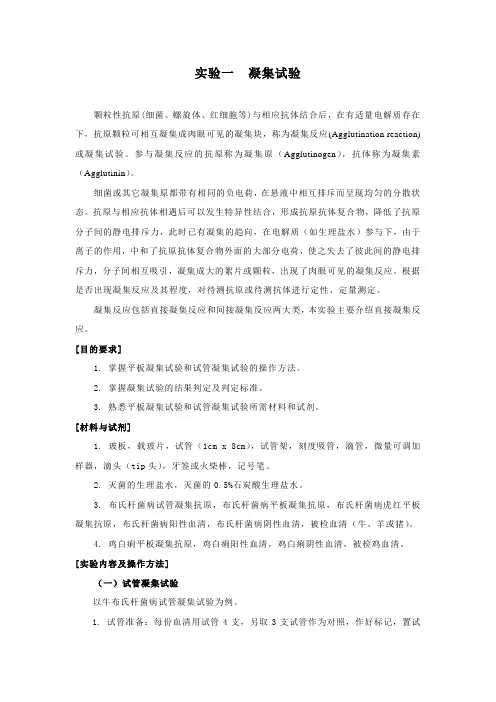 免疫学实验-凝集试验