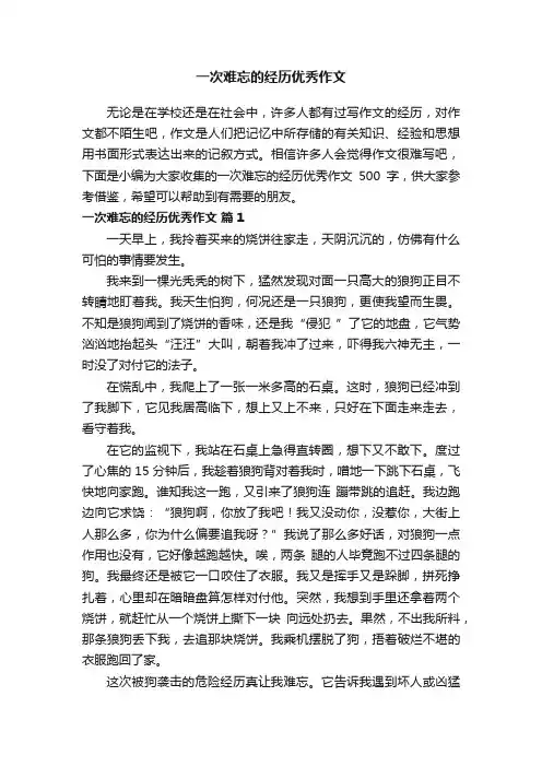一次难忘的经历优秀作文500字（精选81篇）
