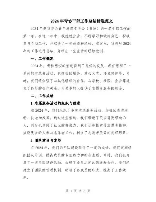 2024年青协干部工作总结精选范文
