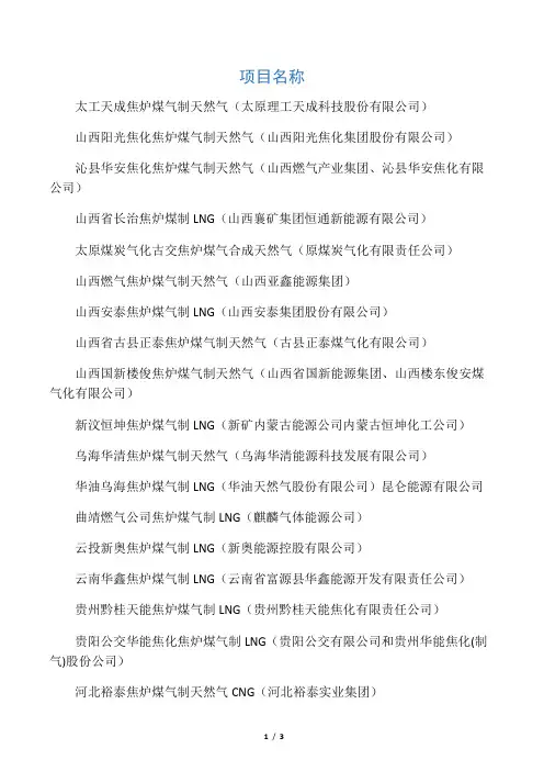 中国焦炉煤制天然气项目表格
