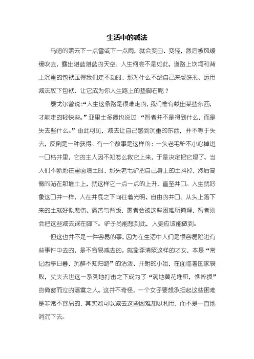 高二作文：生活中的减法作文800字