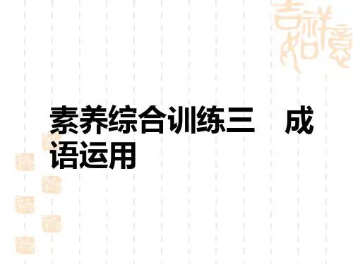 中考语文复习练测课件 素养综合训练三 成语运用