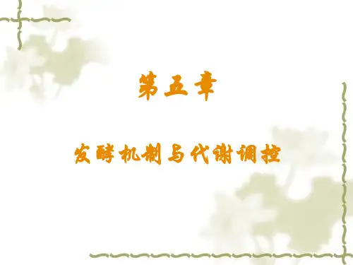 第五章  发酵机制与代谢调控