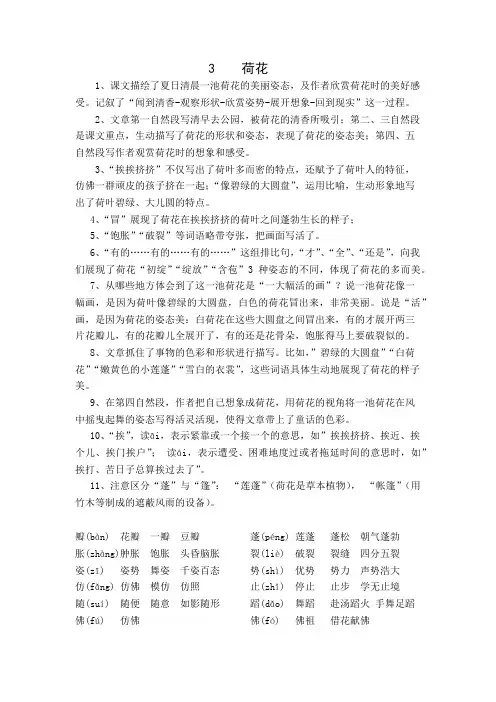 部编三年级语文下册《荷花》课文内容讲解(1)