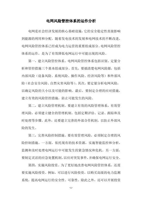 电网风险管控体系的运作分析
