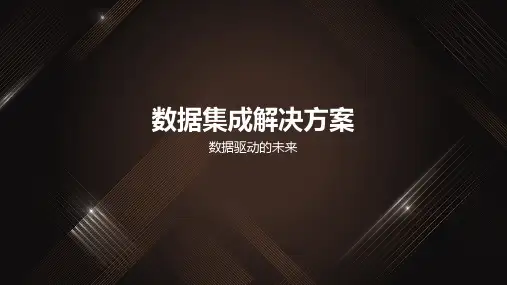 数据集成解决方案