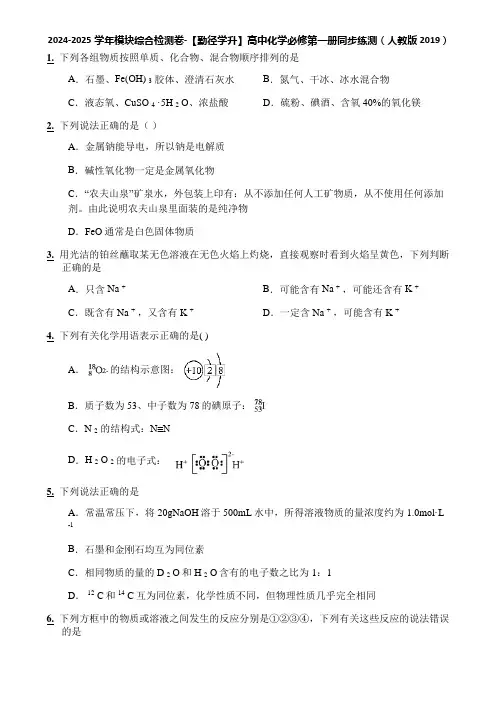 2024-2025学年模块综合检测卷-【勤径学升】高中化学必修第一册同步练测(人教版2019)
