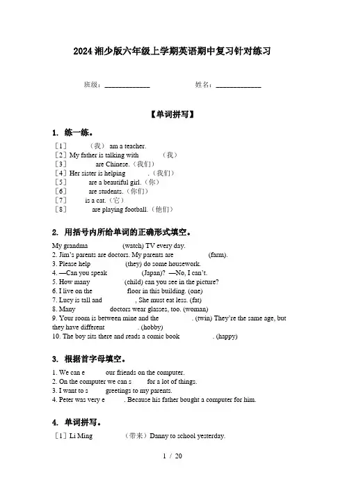 2024湘少版六年级上学期英语期中复习针对练习