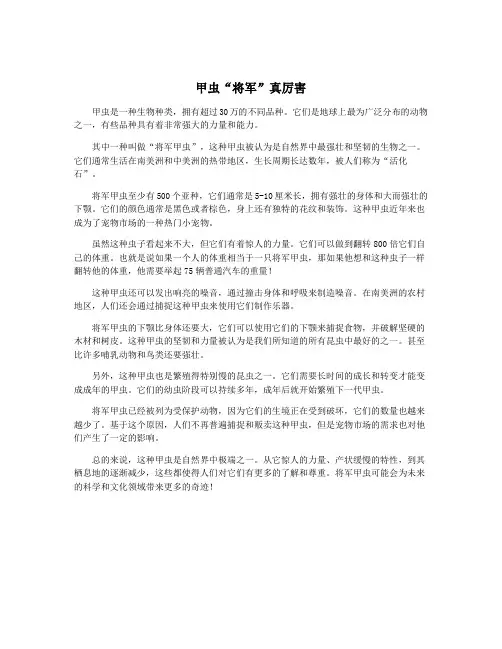 甲虫“将军”真厉害