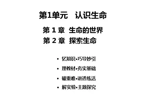 2020年中考全国版生物一轮考点复习第1单元认识生命(共16张PPT)