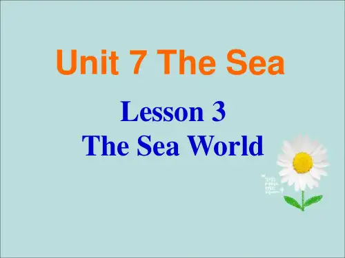 高中英语 北师大版必修3  Unit 7 The Sea Lesson 3 The Sea World课件(32张PPT)