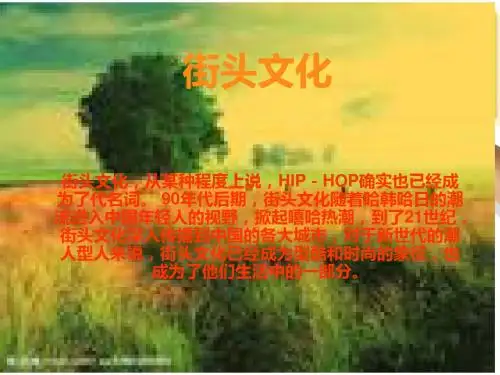 街舞—街头文化的一朵奇葩.ppt