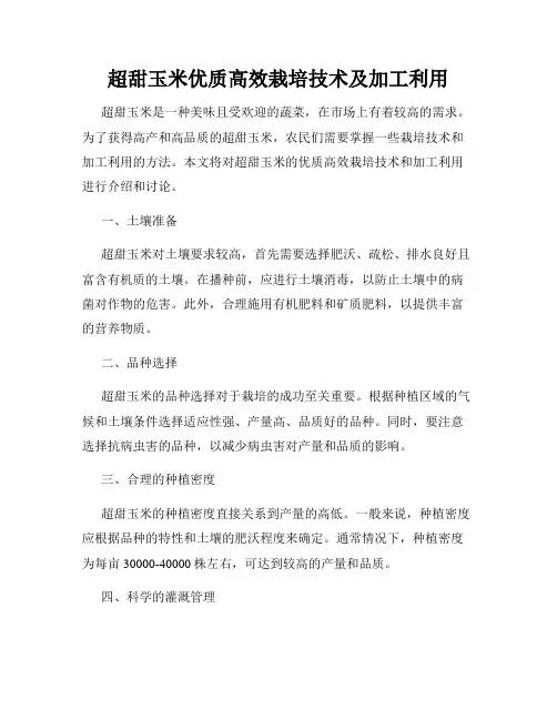 超甜玉米优质高效栽培技术及加工利用