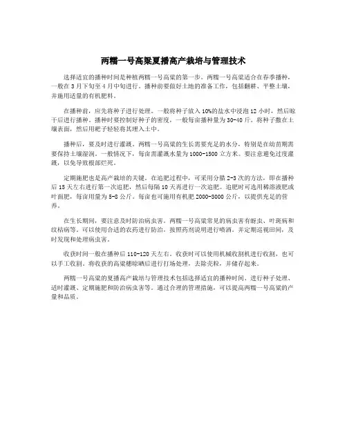 两糯一号高粱夏播高产栽培与管理技术