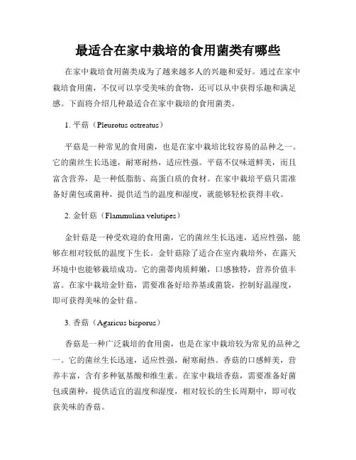 最适合在家中栽培的食用菌类有哪些