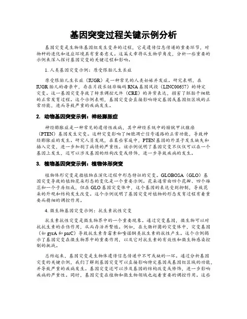 基因突变过程关键示例分析