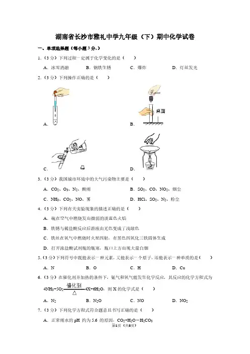 湖南省长沙市雅礼中学九年级(下)期中化学试卷