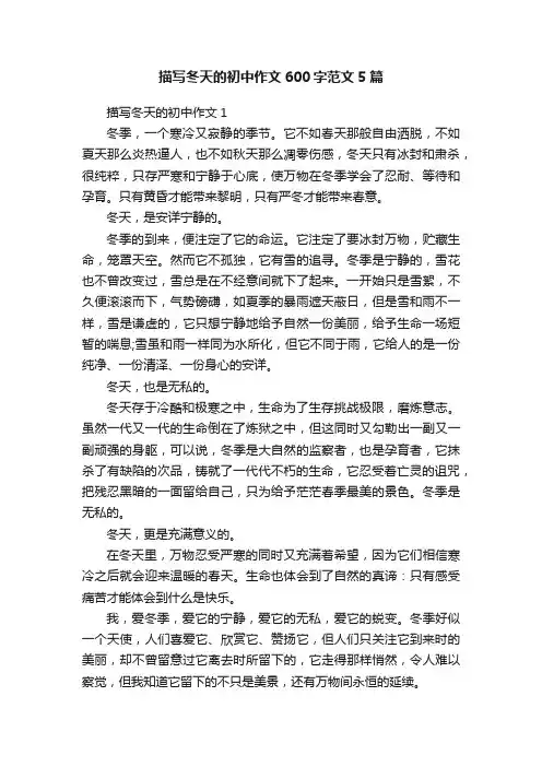 描写冬天的初中作文600字范文5篇